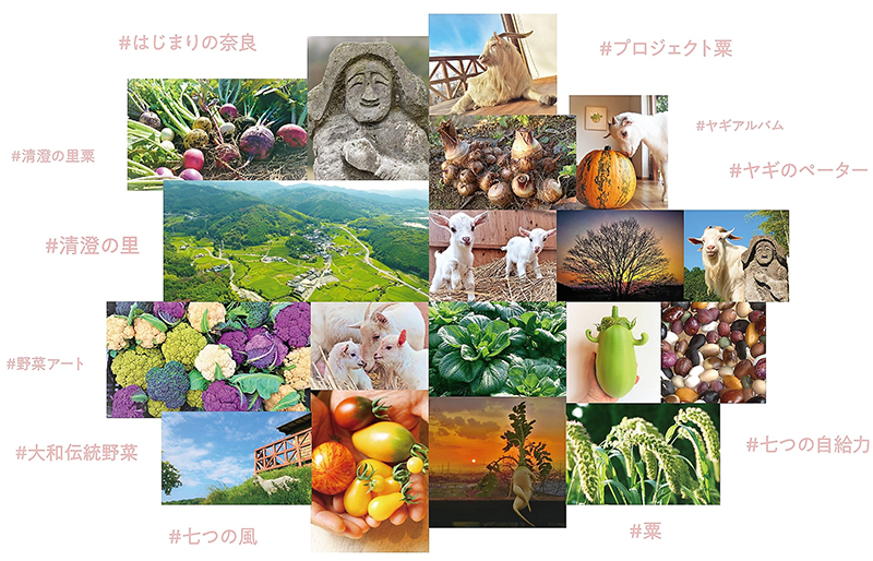 第47回 日本農業賞「食の架け橋部門」プロジェクト粟大賞受賞
